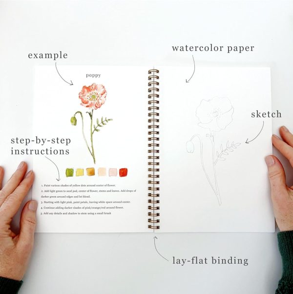 Flowers Watercolor Workbook by Emily Lex Studio, 12 Beginner Friendly Sketched Illustrations, Lay Flat Spiral Pages, 6.5 x 9 inch, 120lb Watercolor Paper-2