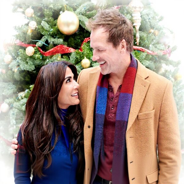 Der Weihnachtschef et la Fabrique de Jouets DVD Film